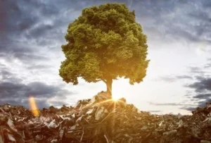 SAP Abfallmanagement