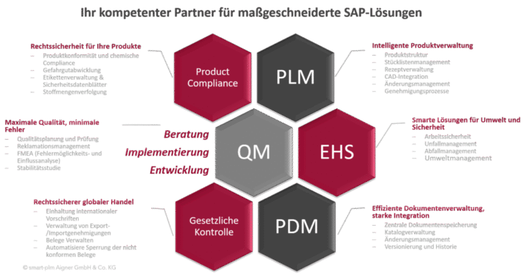 SAP-PLM-Beratung